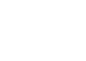 Logo interview